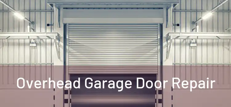  Overhead Garage Door Repair 